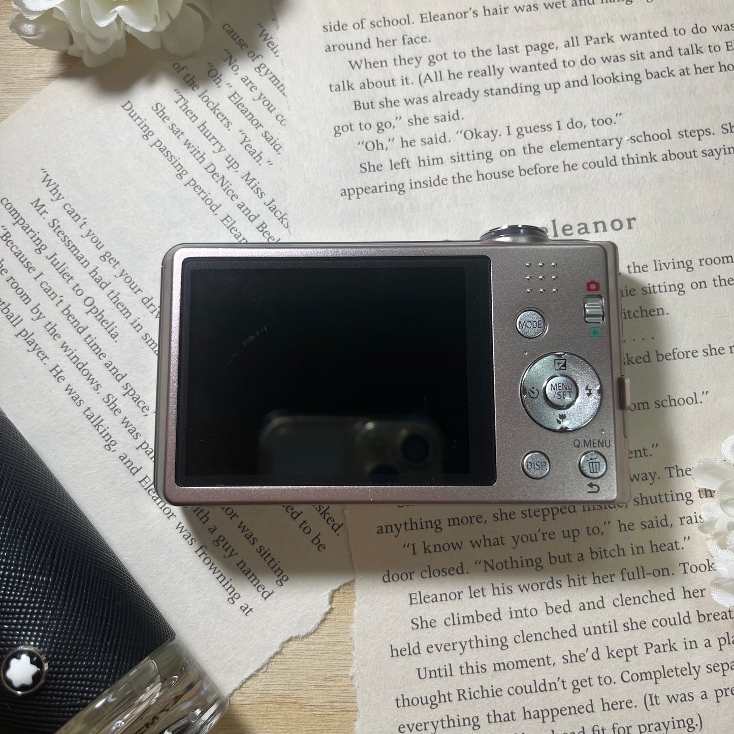 Panasonic Lumix DMC-FH5 16.0 mp Pink