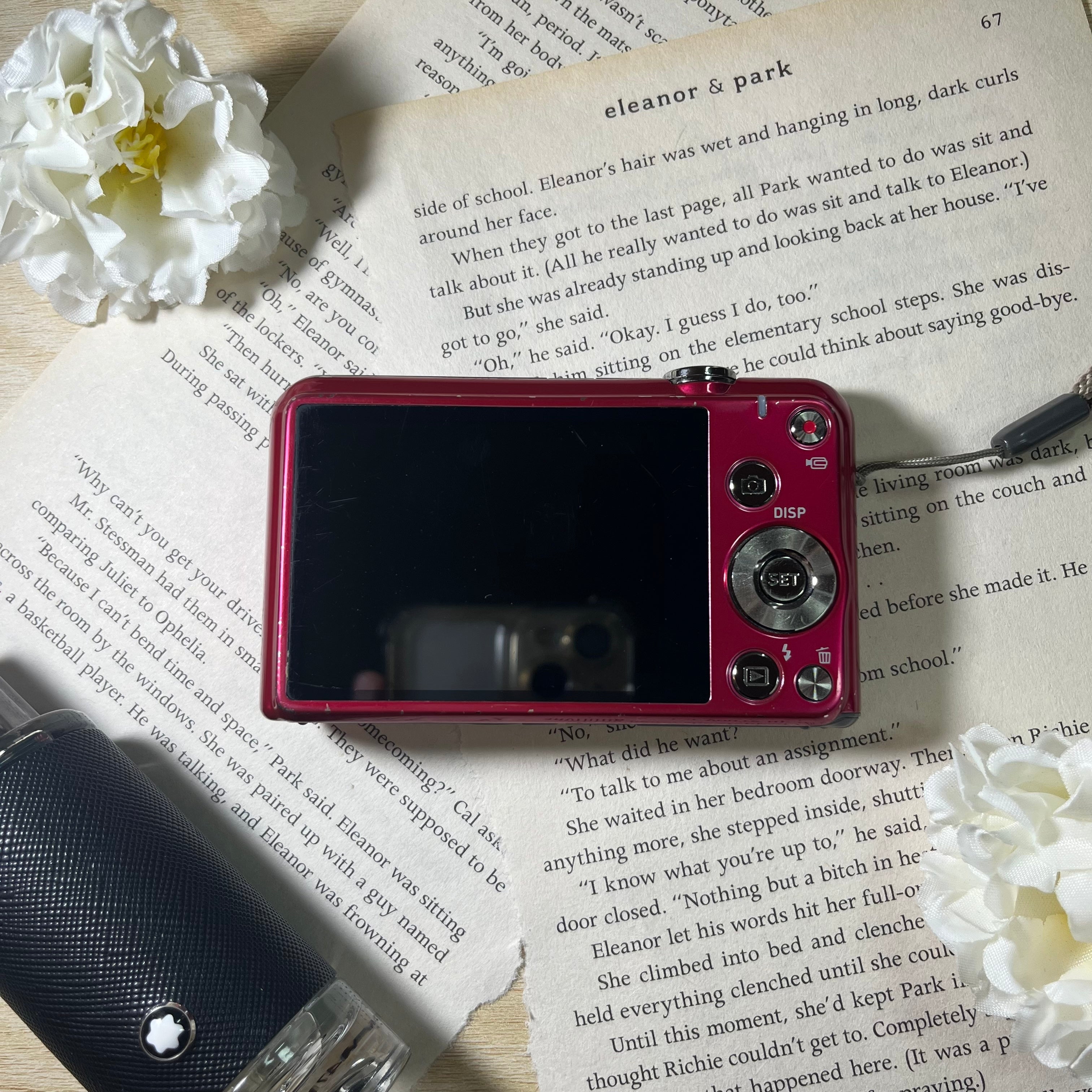 Casio Exilim EX-ZS20 16.1 mp Pink – Digisnap