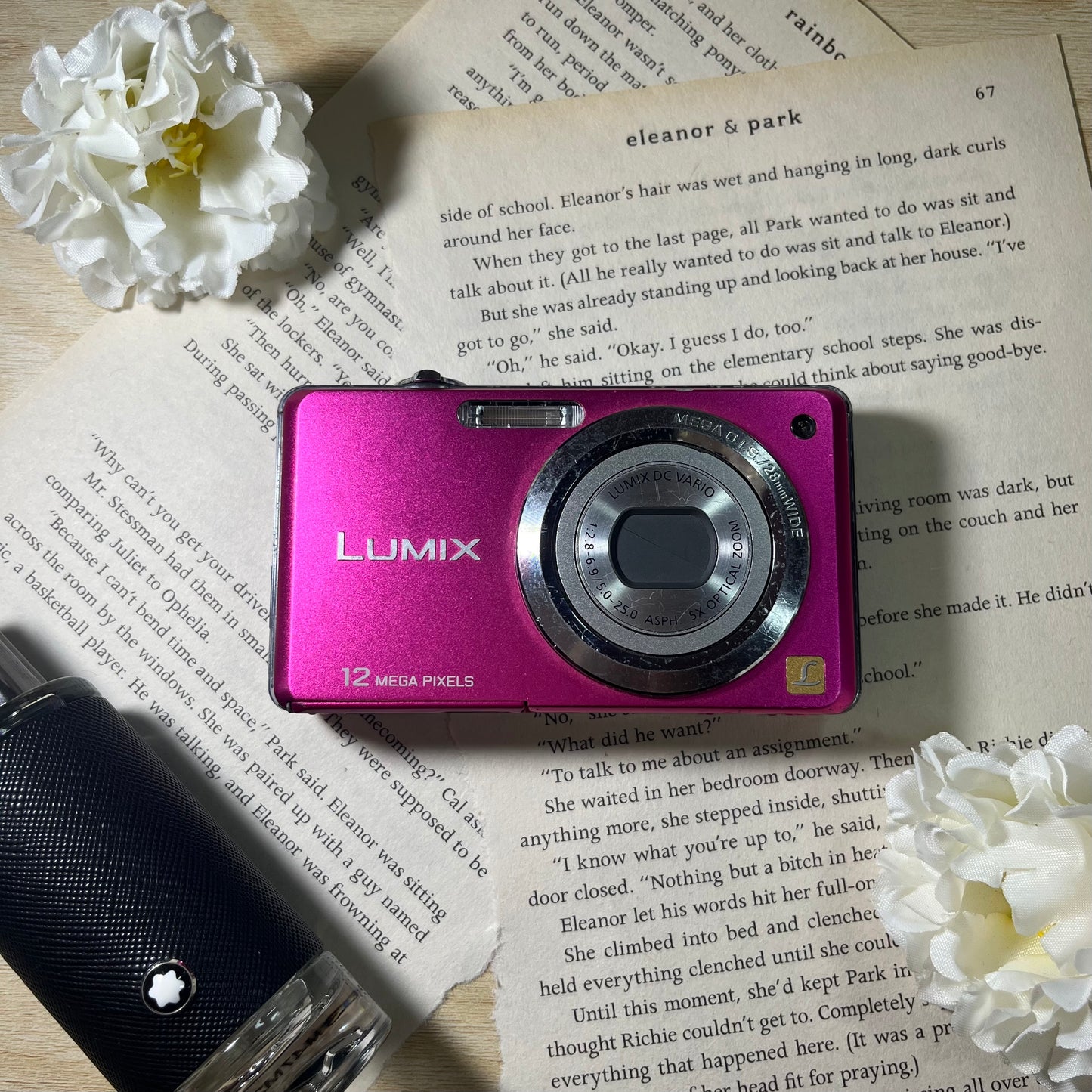 Panasonic Lumix DMC-FS10 12.0 mp Pink