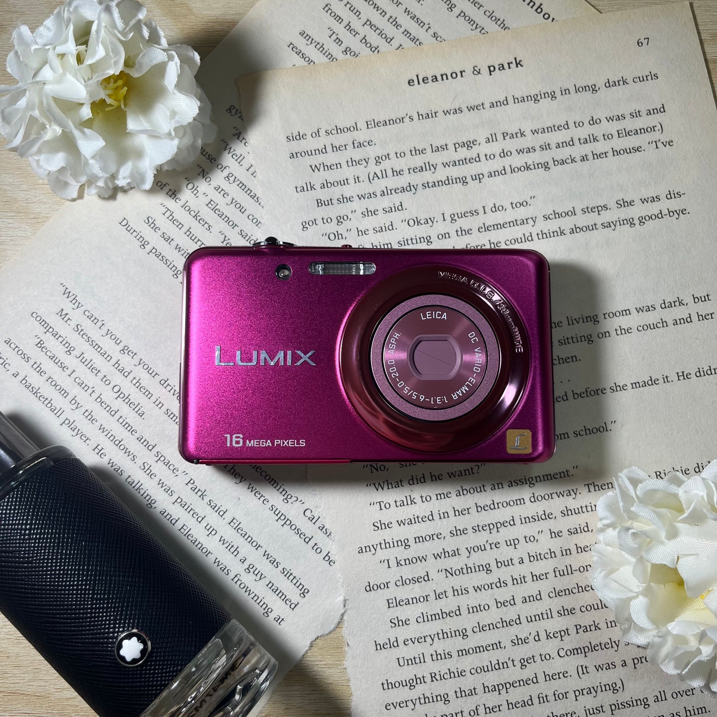 Panasonic Lumix DMC-FH7 16.0 mp Pink