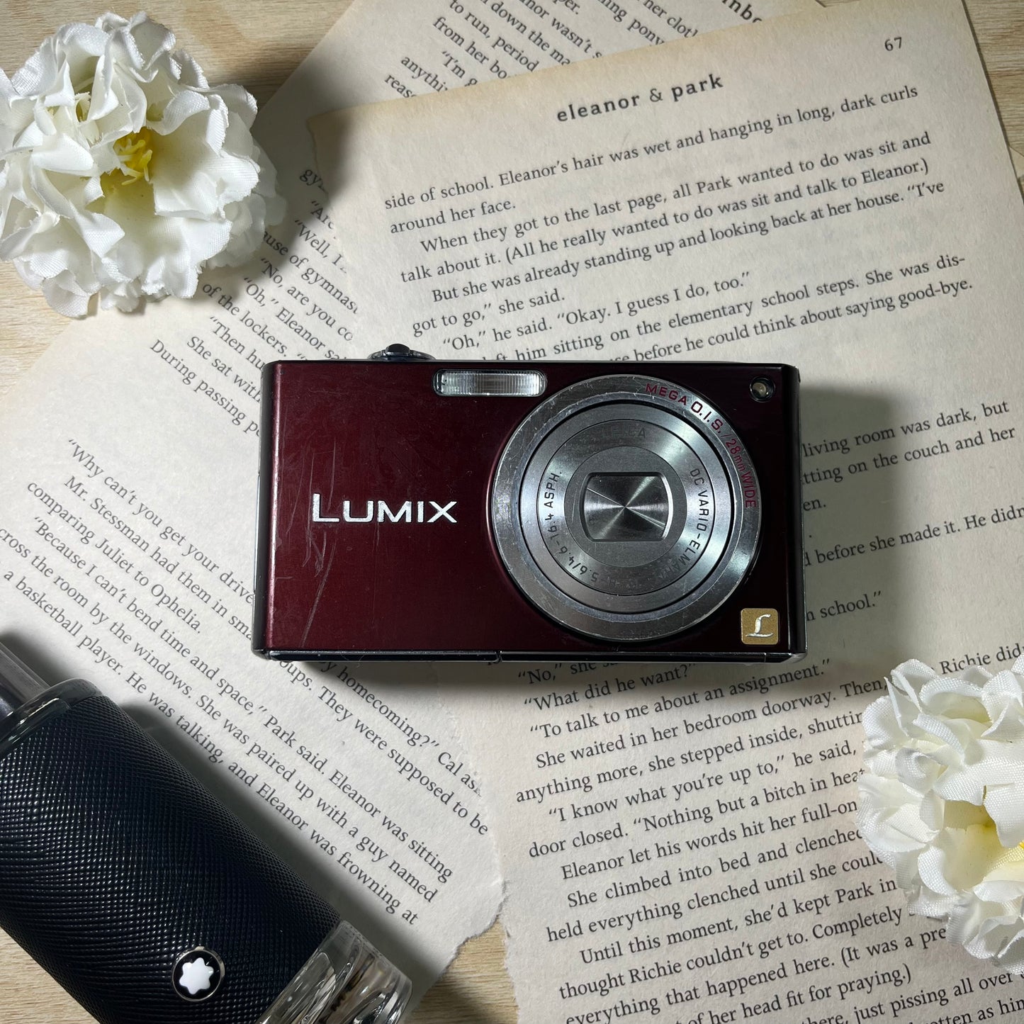 Panasonic Lumix DMC-FX33 8.1 mp Brown