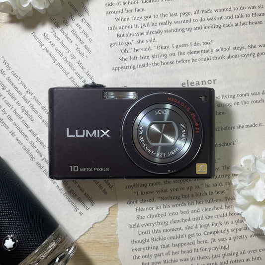 Panasonic Lumix DMC-FX37 10.0 mp Brown