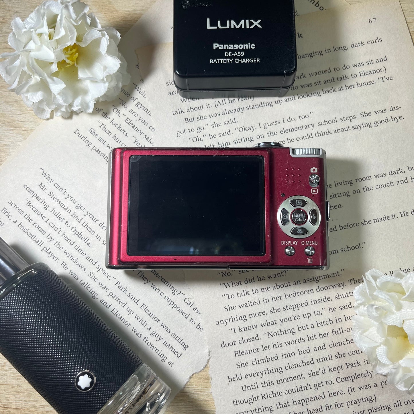 Panasonic Lumix DMC-FX40 12.0 mp Pink