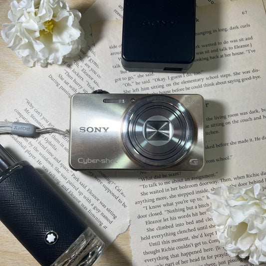 Sony Cybershot DSC-W170 10.0 mp Silver