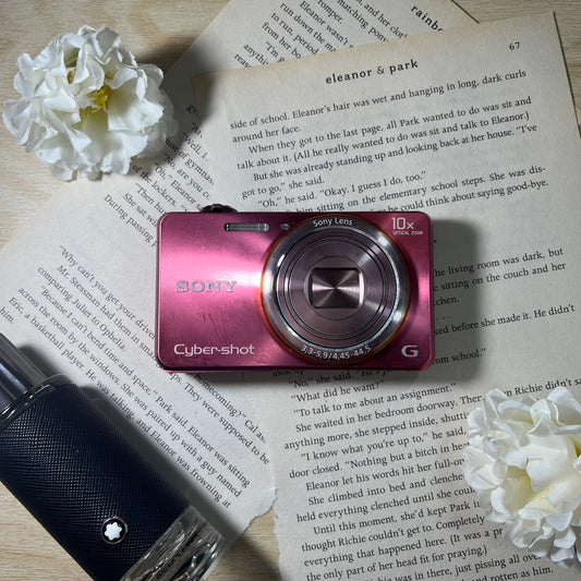 Sony Cybershot DSC-WX100 18.2 mp Pink